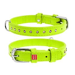 CLR WD Ogrlica za pse 9 mm/19-25 cm - Zelena A2202505