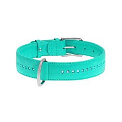 CLR WD Ogrlica za pse 27–36 cm - Plava A2202579