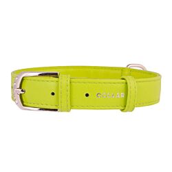 CLR WD Ogrlica za pse 19-25 cm - Zelena A2202626