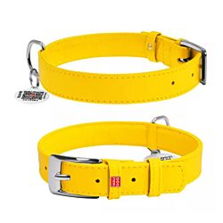 CLR WD Ogrlica za pse  38-49 cm - Žuta A2202672