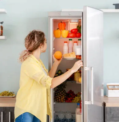 Neverovatna ponuda frižidera na akciji u Tehnomaniji